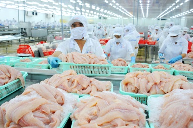 Ekspor Patin Vietnam ke China Melonjak 43%