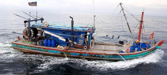 Kinerja Pemberantasan IUU Fishing Bukti Ketegasan Pemerintah
